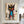 Large Abstract Crown Cat Urban Graffiti Oil Painting Basquiat Inspired Contemporary Wall Art for Modern Home Decor