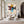 Large Abstract Crown Shark Urban Graffiti Oil Painting Basquiat Inspired Contemporary Wall Art for Modern Home Decor