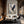 Large Vertical Textured Bald Eagle Canvas Wall Art Modern Wildlife Art for Living Room & Office