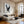 Large Impasto Textured Eagle in Flight Canvas Wall Art Textured Animal Art for Entryway & Study Decor